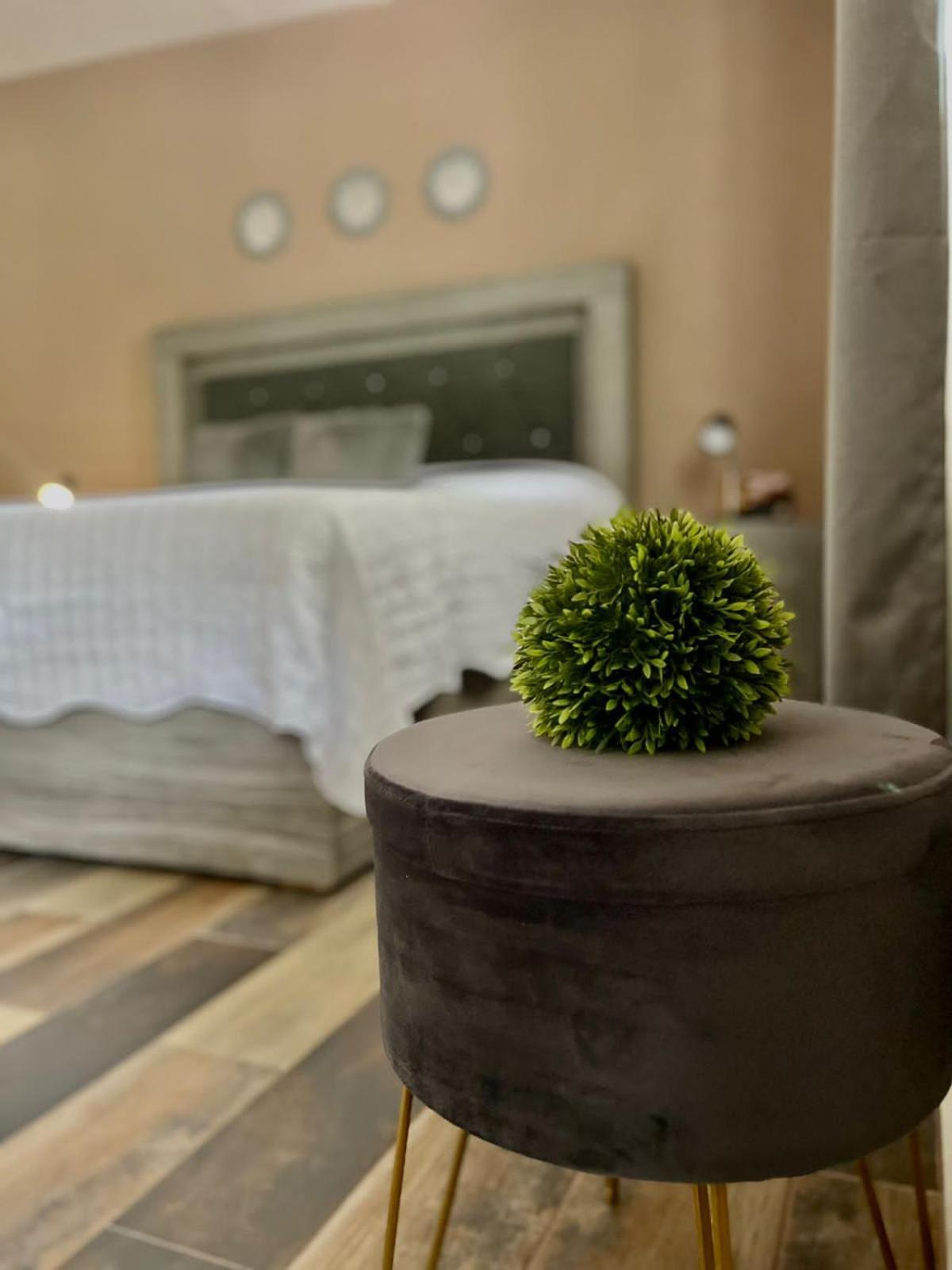 ברנל Cabanas, Suites Y Habitaciones Rancho San Jorge מראה חיצוני תמונה